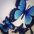 :iconcolorsofmylife: