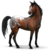 :iconcolorstock:
