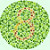 :iconcolorstupid: