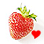 :iconcolorvibe: