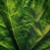 :iconcolour-box: