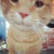 :iconcolour-designs: