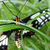 :iconcolour-the-sky: