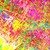 :iconcolour97: