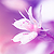:iconcolourcrazy: