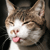 :iconcolourful777: