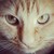 :iconcolourfulelmo: