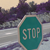 :iconcolourfulnitwit: