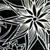 :iconcolourfusion: