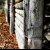 :iconcolourlessphoto: