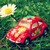 :iconcolourlove17: