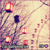 :iconcolourshine: