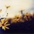 :iconcolourtheclouds: