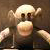 :iconcolton-allen: