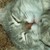 :iconcolton-squared: