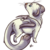 :iconcom-acc: