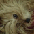 :iconcomacold-stock: