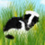 :iconComatoseSkunk: