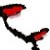 :iconcombating-wolves: