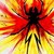 :iconcombustingrainb0ws: