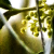 :iconcome-hither-heather:
