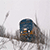 :iconcomet166: