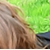 :iconcomfortablynumb27: