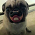 ComicBoy12 :iconcomicboy12: