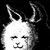:iconcomicmasterx: