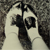 :iconcommelesgarcons: