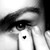 :iconcommencements: