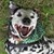 :iconcommendator: