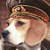 :iconcommissarx: