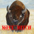 :iconcommoner32: