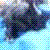 :iconcommunionnimrod: