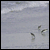 :iconcomp-stock: