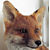 :iconcompino: