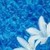 :iconcomplicated713: