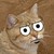 :iconcompy-386:
