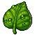 :iconconadrie: