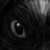 :iconconaire123: