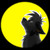 :iconconallthewolger: