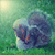 :iconconcentrating-billy: