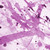 :iconconceptconcerto:
