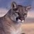 :iconconcolor44: