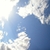 :iconconcrete-bayou: