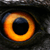 CondorAttack :iconcondorattack: