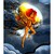 :iconconfettidgs: