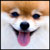 :iconconfused-princess17: