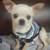 congypongy :iconcongypongy: